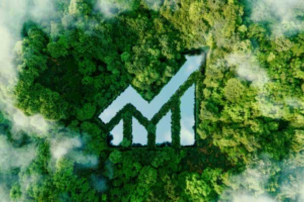 财信研究院宏观团队|目标积极务实，政策提质增效，内需主导强化——2025年中央经济工作会议解读